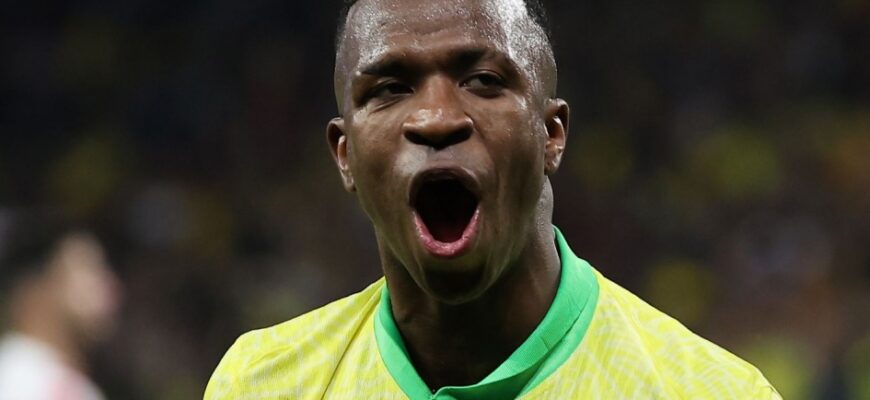 Vinicius Anchelotti rejasida Braziliya termasiga qanday foydalaniladi?